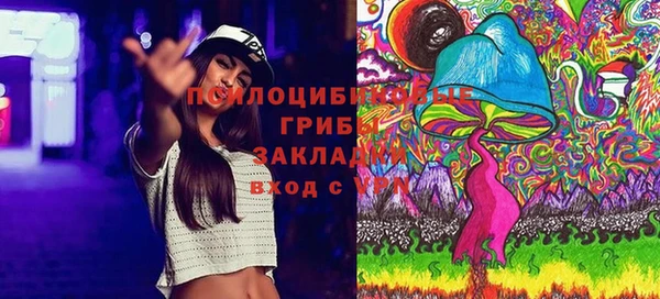 тгк Балахна