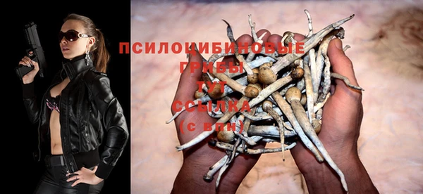 тгк Балахна