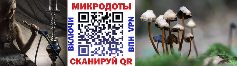 Псилоцибиновые грибы мицелий  где купить   Петухово 